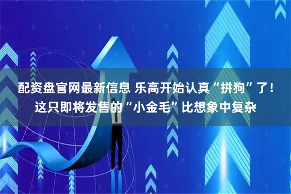 配资盘官网最新信息 乐高开始认真“拼狗”了！这只即将发售的“小金毛”比想象中复杂