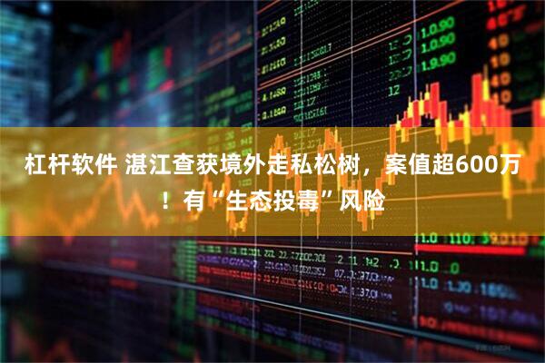 杠杆软件 湛江查获境外走私松树，案值超600万！有“生态投毒”风险